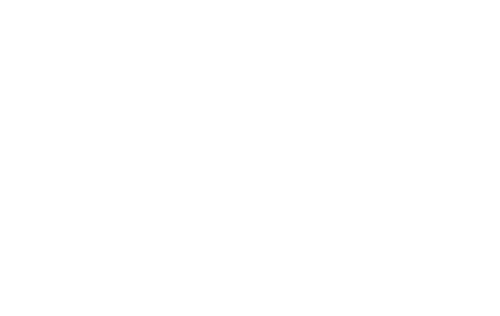 FGran Granilite